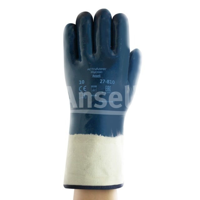 27-810 HYCRON GANT NITRILE T10